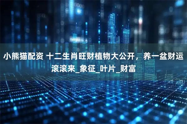 小熊猫配资 十二生肖旺财植物大公开，养一盆财运滚滚来_象征_叶片_财富
