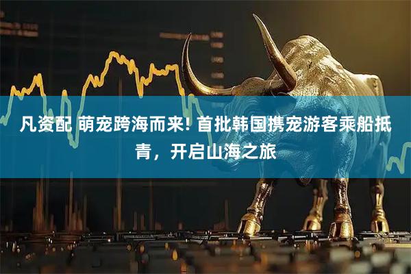 凡资配 萌宠跨海而来! 首批韩国携宠游客乘船抵青，开启山海之旅