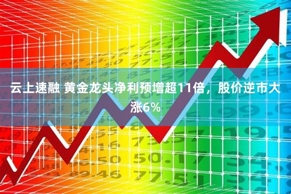 云上速融 黄金龙头净利预增超11倍,股价逆市大涨6%